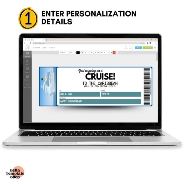 Editable Cruise Ticket enter ticket details