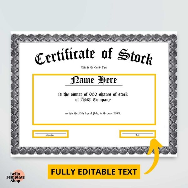 Stock Certificate What can be edited (2)